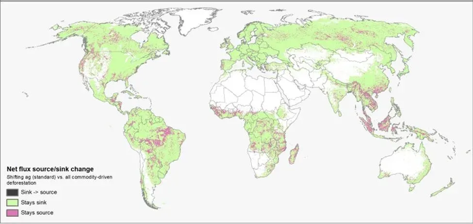 World map of net carbon flux change across forested regions, with persistent sinks shaded green and persistent sources shaded magenta, concentrated in the Amazon, Central Africa, and Southeast Asia.